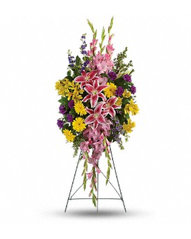 Premium size, inches height and inches wide.