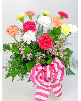 Dozen Mixed Carnation size, inches height and inches wide.