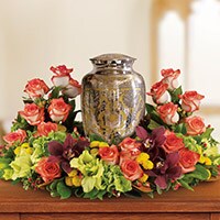 116 N Beverwyck Rd Apt 6 Lake Hiawatha Nj 07034 Realtor Com Flower Delivery In Roce Park Nj