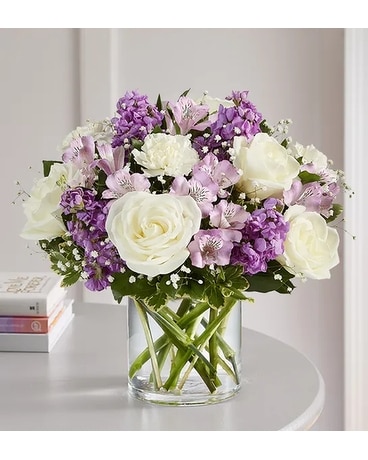 Deluxe size, inches height and inches wide.