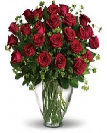 24 Red Roses size, inches height and inches wide.