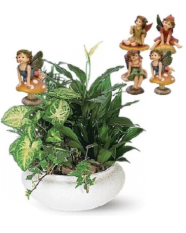Med. size in ceramic dish size, inches height and inches wide.