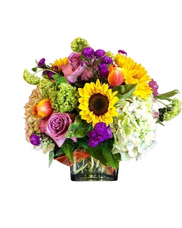 Featured Spring Arrangement size, inches height and inches wide.