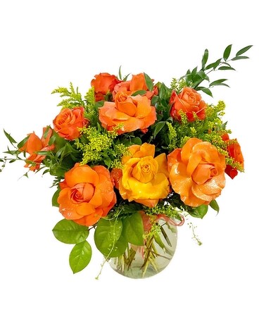6 roses, in a bouquet size, inches height and inches wide.