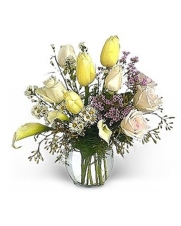 As Shown size, inches height and inches wide.