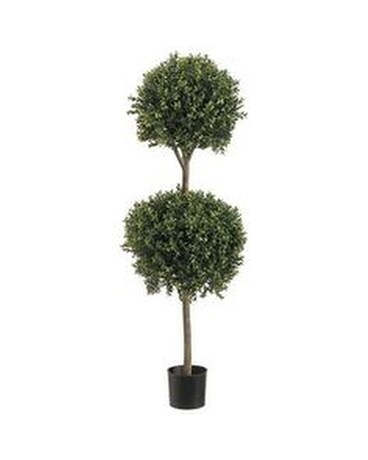 Standard size, inches height and inches wide.