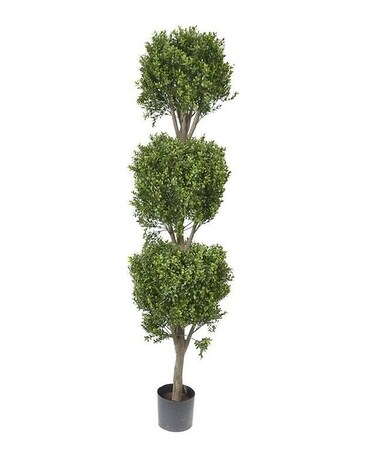 Standard size, inches height and inches wide.