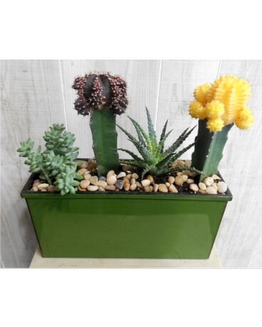 Premium size, inches height and inches wide.