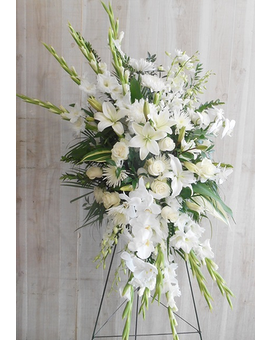 Standard size, inches height and inches wide.
