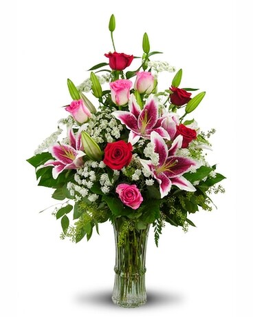 Premium - Maximizes Amazement size, inches height and inches wide.