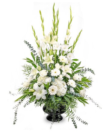 As Shown size, inches height and inches wide.