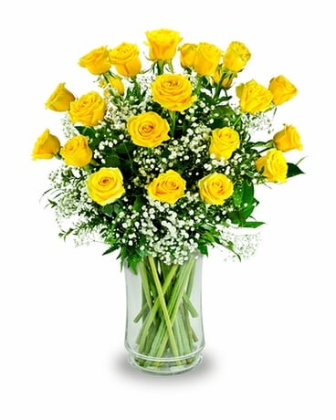 2 Dozen Yellow Roses size, inches height and inches wide.