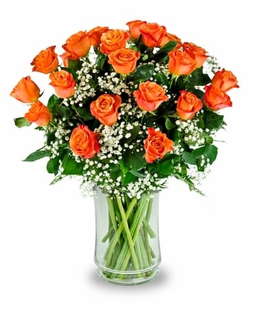 2 Dozen Orange Roses size, inches height and inches wide.