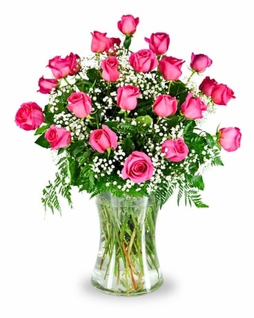 3 Dozen Hot Pink Roses size, inches height and inches wide.