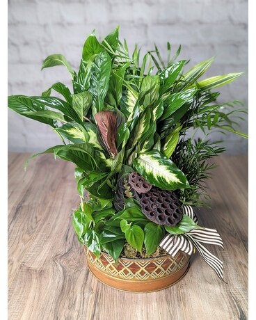 Large size, 22 inches height and 12.5 inches wide.