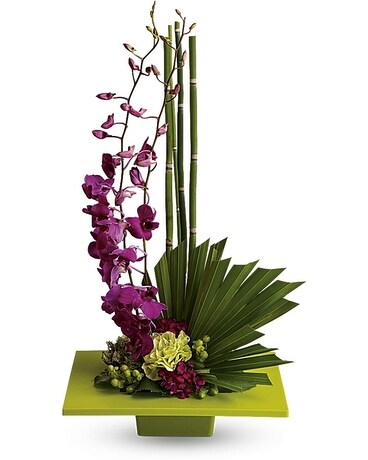 Deluxe size, inches height and inches wide.