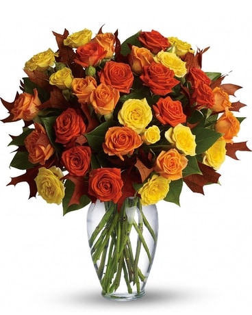 As Shown size, inches height and inches wide.