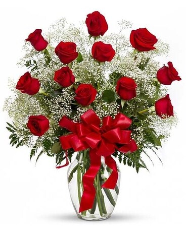 Premium 18 roses size, inches height and inches wide.