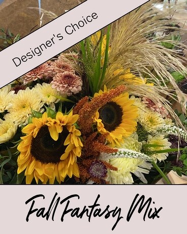 Premium Designer's Choice Arrangement size, inches height and inches wide.