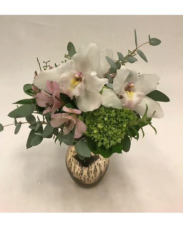 Lovely size, inches height and inches wide.