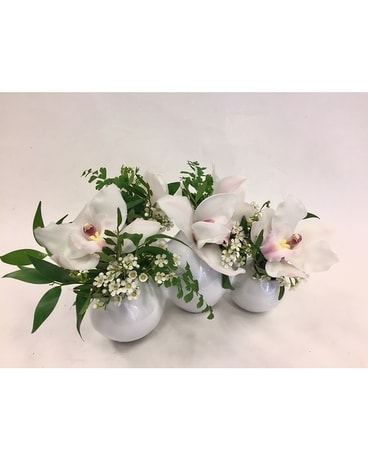 Lovely- smaller similar size, inches height and inches wide.