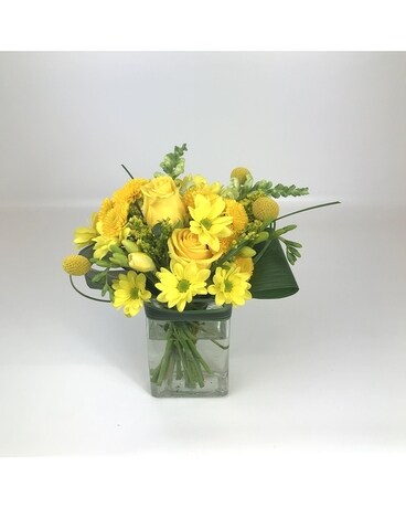 Lovely size, inches height and inches wide.