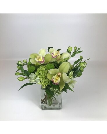 Lovely size, inches height and inches wide.