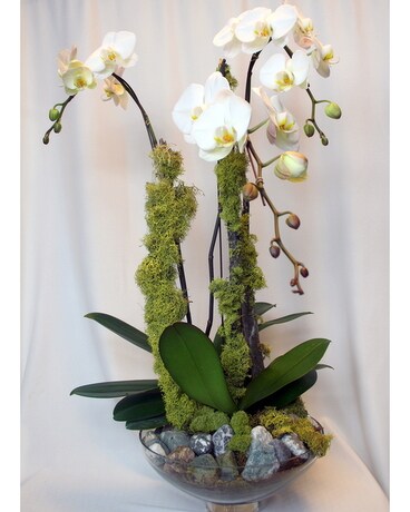 Lovely Smaller size, inches height and inches wide.