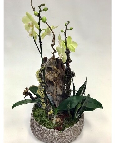 Beautiful As Shown size, inches height and inches wide.