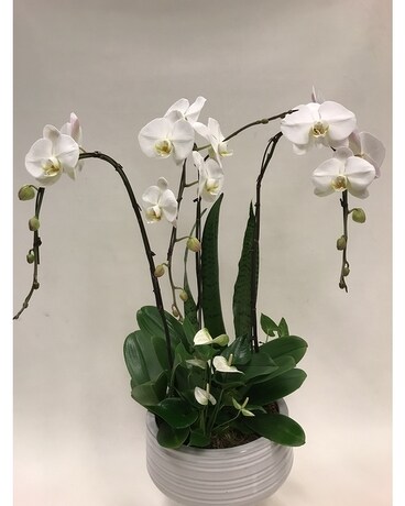 Lovely Smaller size, inches height and inches wide.
