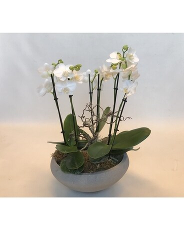 Lovely Smaller size, inches height and inches wide.
