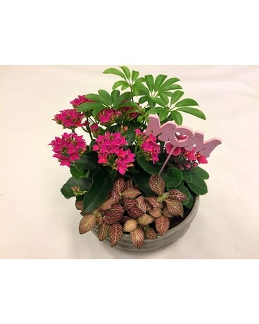 Stunning size, inches height and inches wide.