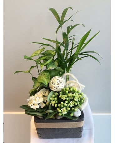 Stunning size, inches height and inches wide.