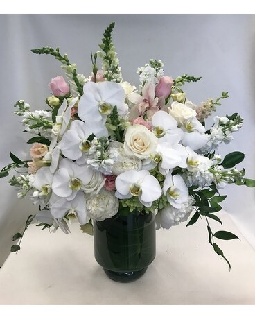 Lovely size, inches height and inches wide.