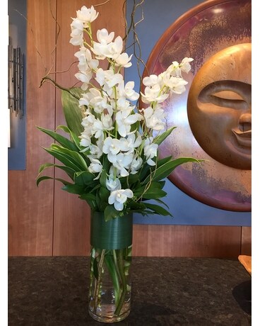 Extra Stunning size, inches height and inches wide.