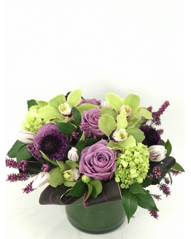 Beautiful-As Shown size, inches height and inches wide.