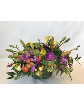 stunning size, inches height and inches wide.