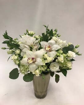Premium size, inches height and inches wide.