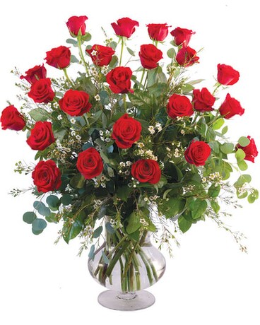 12 Roses size, inches height and inches wide.