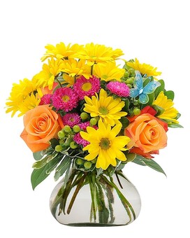 Premium size, 9 inches height and 9 inches wide.