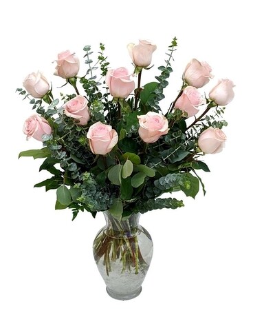 Two Dozen size, inches height and inches wide.