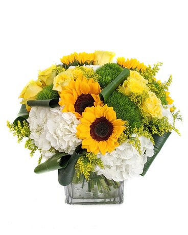 Deluxe (as shown) size, inches height and inches wide.