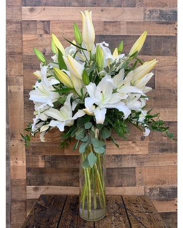 Premium size, inches height and inches wide.
