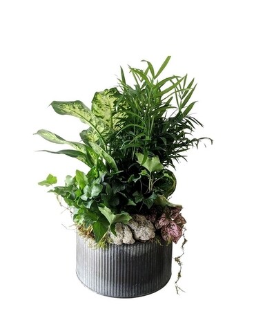 Standard size, 14 inches height and 10 inches wide.