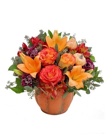 Standard size, 16 inches height and 14 inches wide.