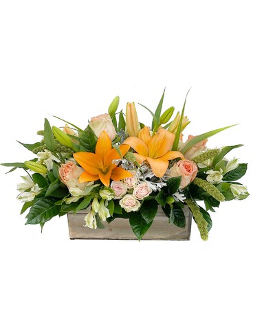 Premium size, 13 and a half inches height and 19 1/4 inches wide.