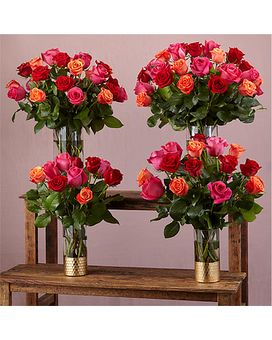 Premium - 24 Roses size, 26 inches height and 21 inches wide.