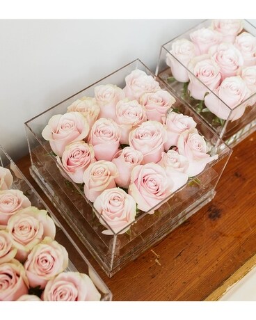 16 roses size, inches height and inches wide.