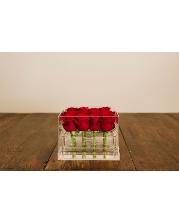 16 rose size, inches height and inches wide.
