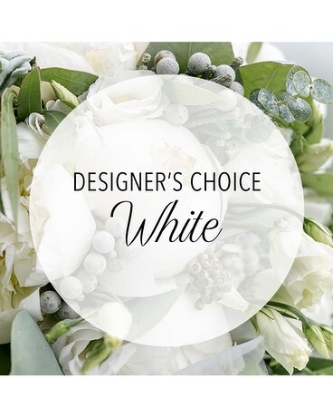 Fabulous LOW size, inches height and inches wide.